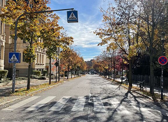 Herbstliche Straßenszene mit Zebrastreifen Herbstliche Straßenszene mit Zebrastreifen